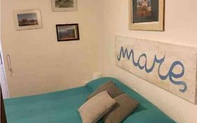 Acciuga